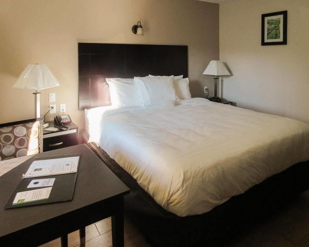 Quality Inn & Suites Bakersfield Eksteriør billede